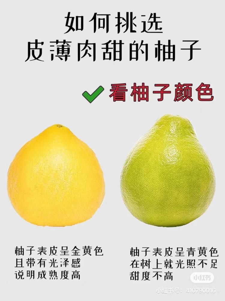 怎么挑到又甜有好吃的柚子，让我来教你！1078 作者:任芳zzz 帖子ID:21858 怎么,好吃的,柚子