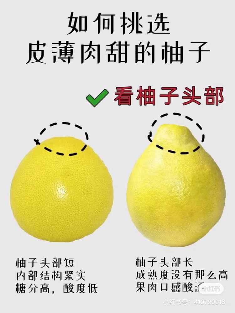 怎么挑到又甜有好吃的柚子，让我来教你！5706 作者:任芳zzz 帖子ID:21858 怎么,好吃的,柚子