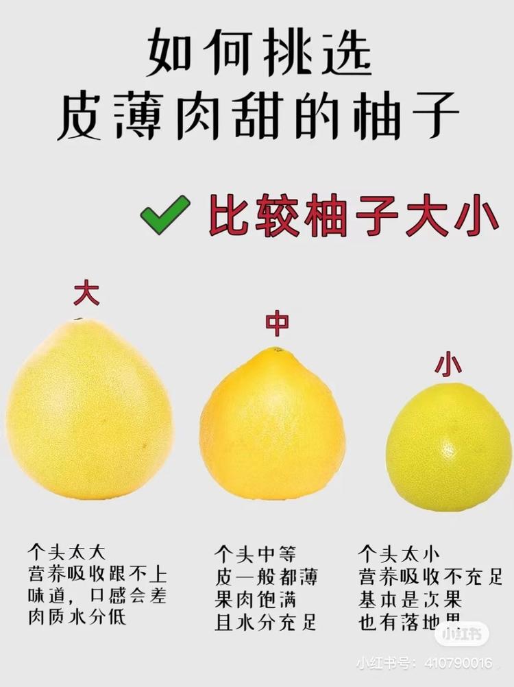 怎么挑到又甜有好吃的柚子，让我来教你！3586 作者:任芳zzz 帖子ID:21858 怎么,好吃的,柚子