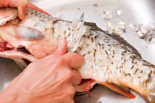 不管煎什么鱼，不要加盐或裹粉，牢记2个技巧，鱼肉完整不粘锅4588 作者:潮阳 帖子ID:36581 
